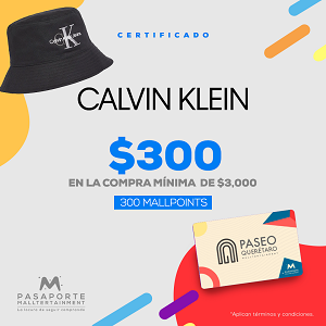 2-Calvin-K_Pasaporte
