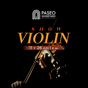 Violinista-web