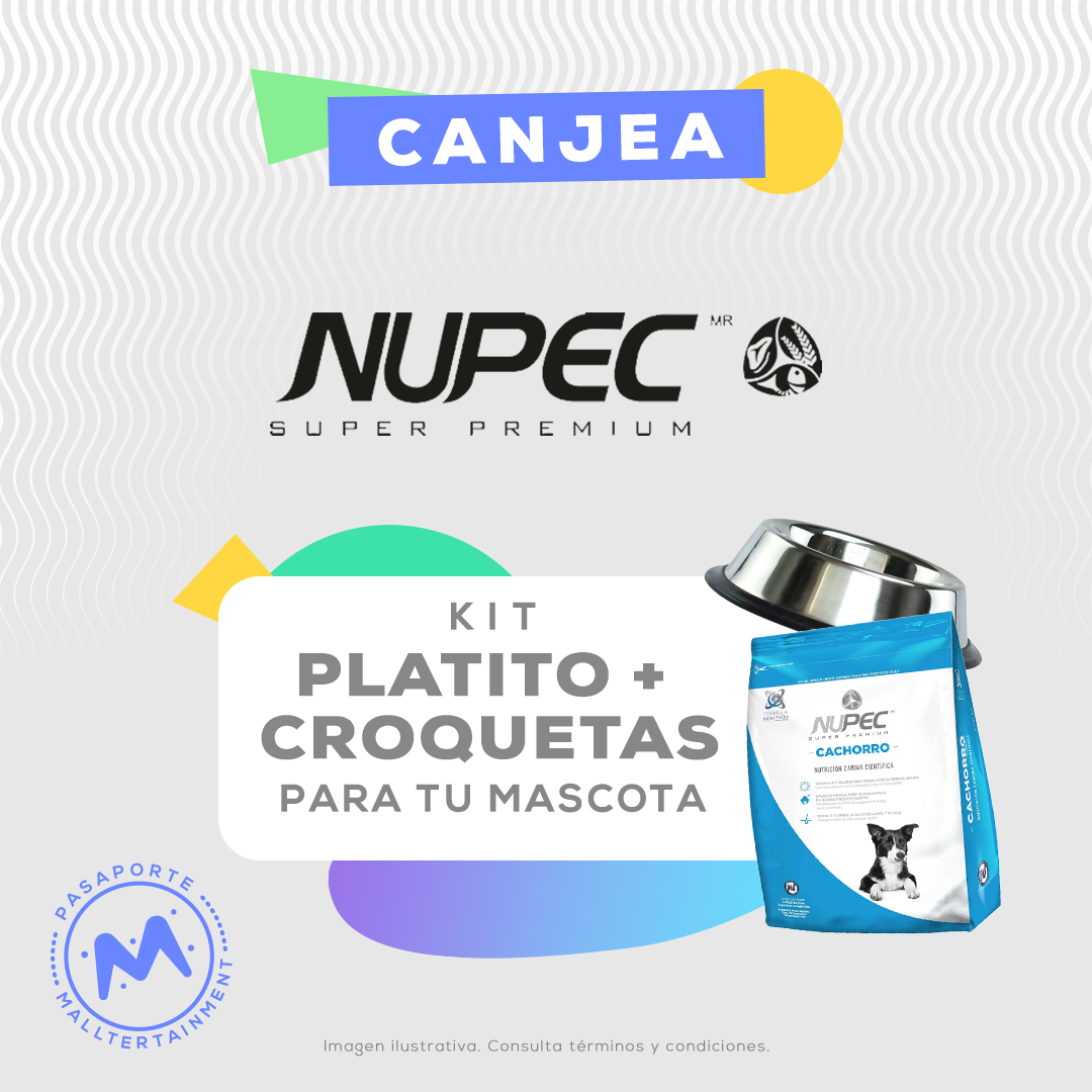 KIT de un platito + crpquetas para tu mascota.